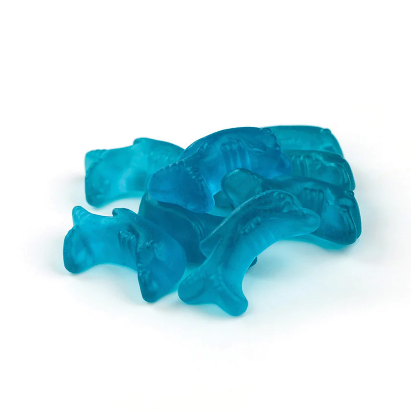 Dolphin Gummy