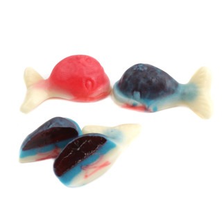 Gummy filled whales