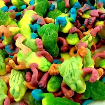 Tropical Frogs